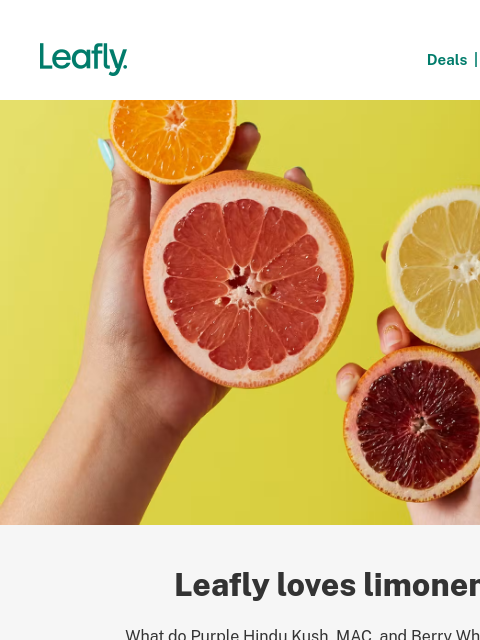 leafly newsletter: A terpene that can relieve anxiety 🍋