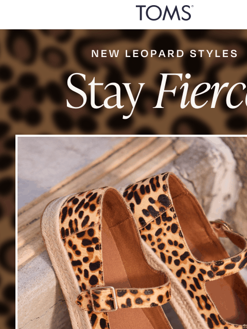 toms newsletter: NEW: Leopard Prints & Textures
