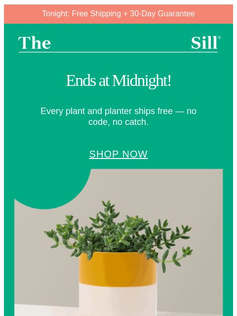 thesill newsletter: Free Shipping Final Hours!