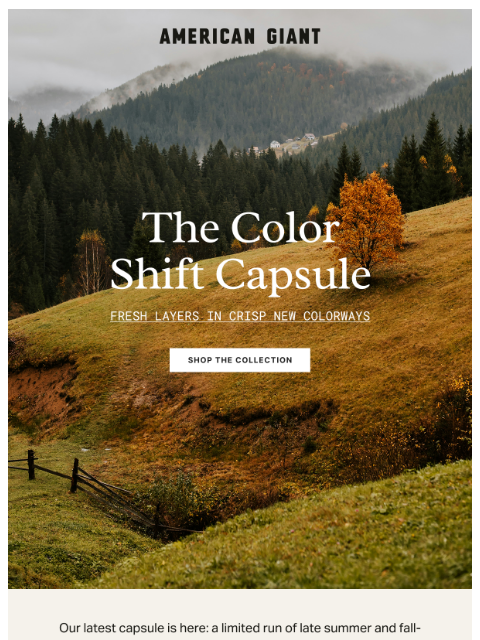 american-giant newsletter: Shades of Late Summer