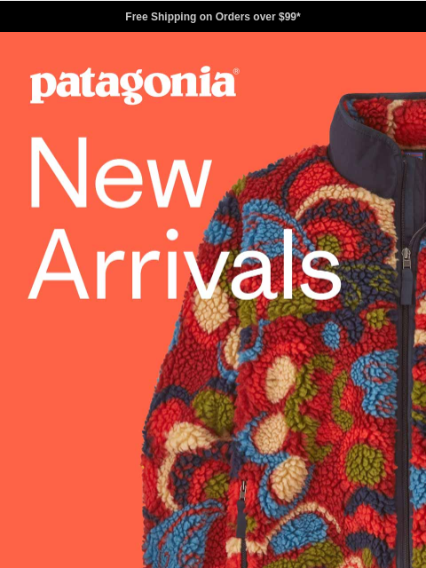 patagonia newsletter: Fall ’25 has landed