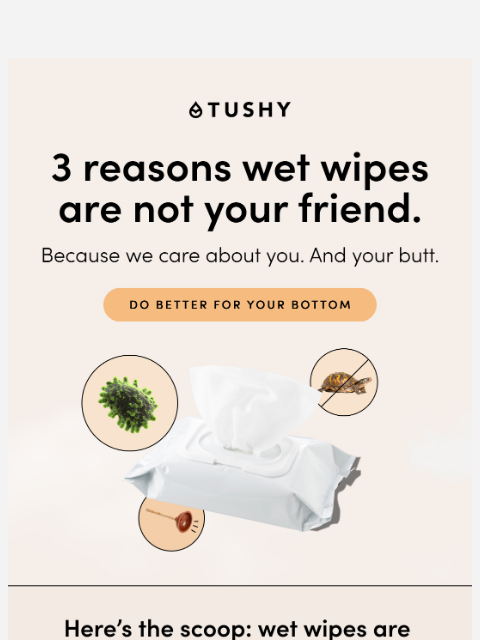 hellotushy newsletter: Just because you CAN flush it doesn’t mean you SHO...