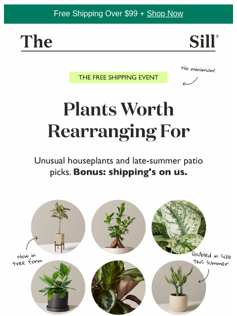 thesill newsletter: Shipping's on us