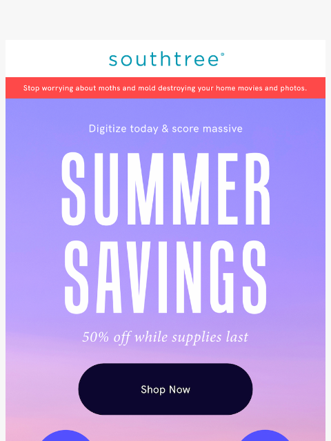 southtree newsletter: How does 50% off sound?