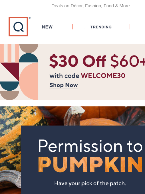 qvcemail newsletter: Switch Into Pumpkin Mode