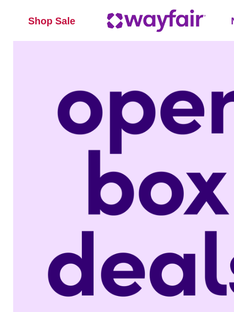wayfair newsletter: Open Box steals