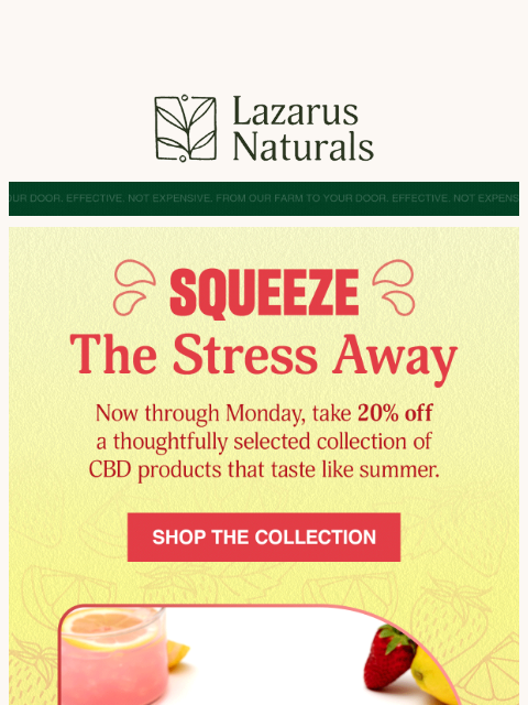 lazarusnaturals newsletter: 🍋 Summer Lemonade Collection—20% Off Now