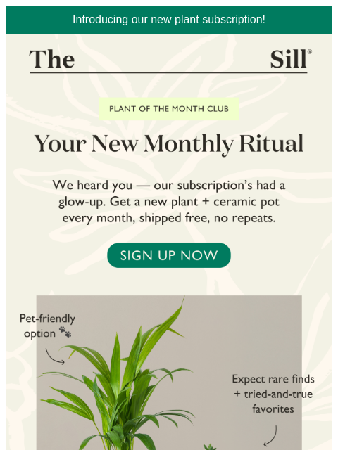 thesill newsletter: 🌟 Meet the all-new Plant Club 🌟