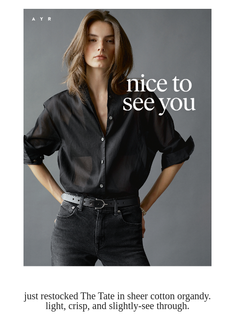 ayr newsletter: the chicest shirt in the world