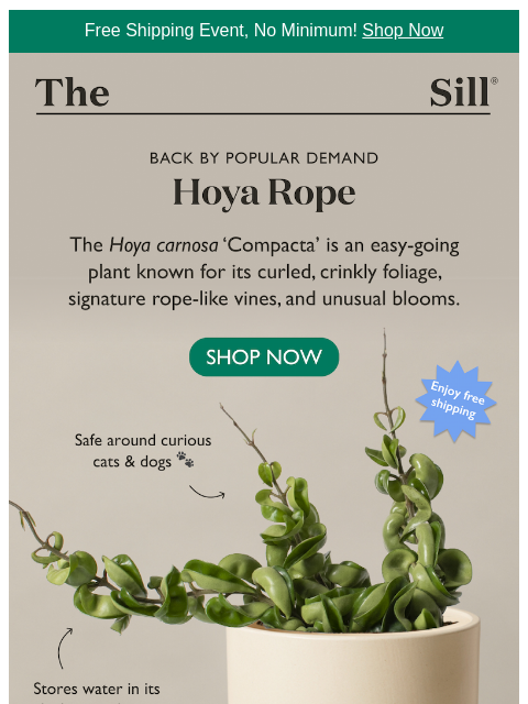 thesill newsletter: This one's a little twisted...