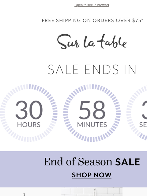 surlatable newsletter: Spotlight on Top Deals ✨ 
