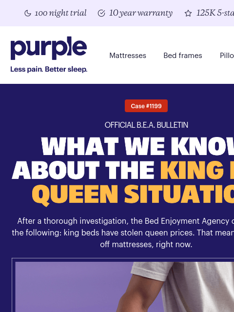 purple newsletter: ALERT: stolen identity case solved