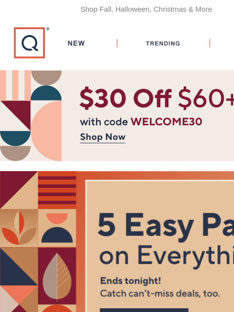 qvcemail newsletter: Today! 5 Easy Pays on Everything