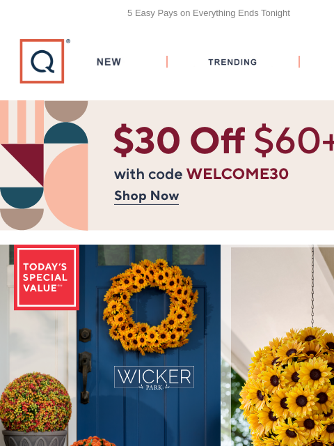 qvcemail newsletter: Flowers Fade…But Not These  + Get $30 Off