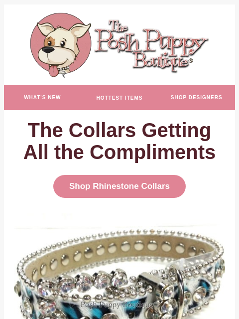 poshpuppyboutique newsletter: Action Needed ⚠️ Update Your Wardrobe.