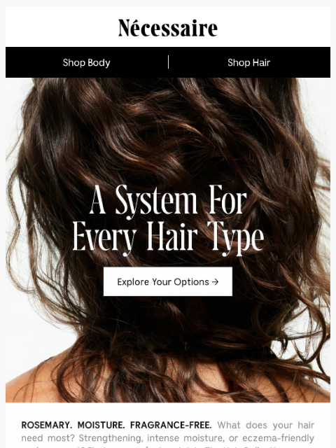 necessaire newsletter: Which Hair Care Is Right for You?