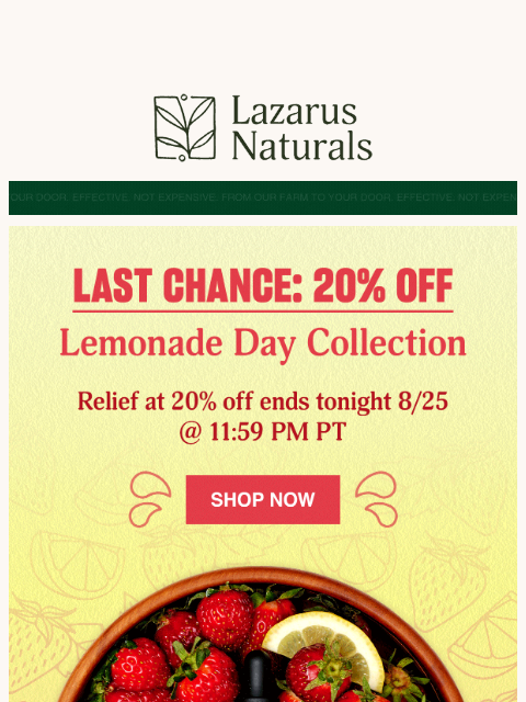 lazarusnaturals newsletter: 🍋 Last Chance—20% Off Lemonade Collection Ends To...