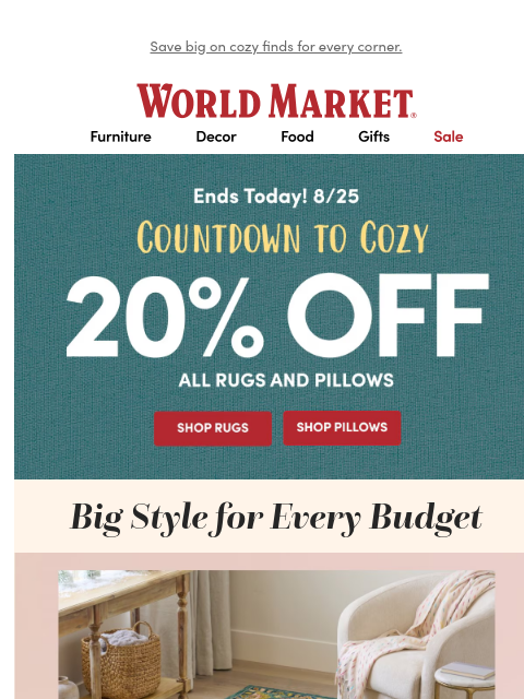 emailworldmarket newsletter: ⏳ 20% off rugs and pillows ENDS TONIGHT