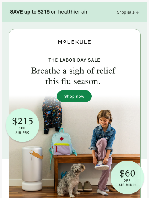 molekule newsletter: The Labor Day Sale is inside.