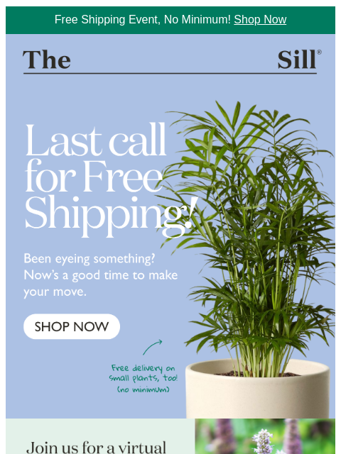 thesill newsletter: 👋, get free delivery on anything! 📦