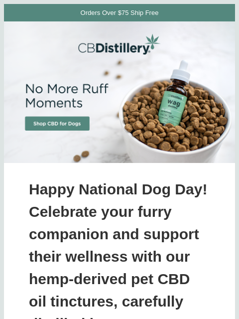 Celebrate National Dog Day with CBD! ͏ ͏ ͏ ͏ ͏ ͏ ͏ ͏ ͏ ͏ ͏ ͏ ͏ ͏ ͏ ͏ ͏ ͏ ͏ ͏ ͏ ͏ ͏ ͏ ͏ ͏ ͏ ͏ ͏ ͏ ͏ ͏ ͏ ͏ ͏ ͏ ͏ ͏ ͏ ͏ ͏ ͏ ͏ ͏ ͏ ͏ ͏ ͏ ͏ ͏ ͏ ͏ ͏ ͏ ͏ ͏ ͏ ͏ ͏ ͏ ͏ ͏ ͏ ͏ ͏ ͏ ͏ ͏ ͏ ͏ ͏ ͏ ͏ ͏ ͏ ͏ ͏ ͏ ͏ ͏ ͏ ͏