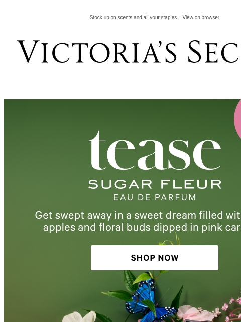 Stock up on scents and all your staples. View on browser Victoria's Secret VSCC Available Credit Introduction Shop Now Shop Now Shop Now Display images to show real-time content Display images to