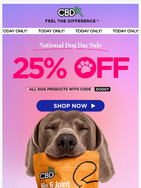 cbdfx newsletter: Today Only: Get 25% OFF all dog products! 🐕