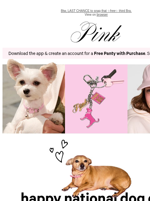 vspink newsletter: Ready to Fetch These Faves? 🦴