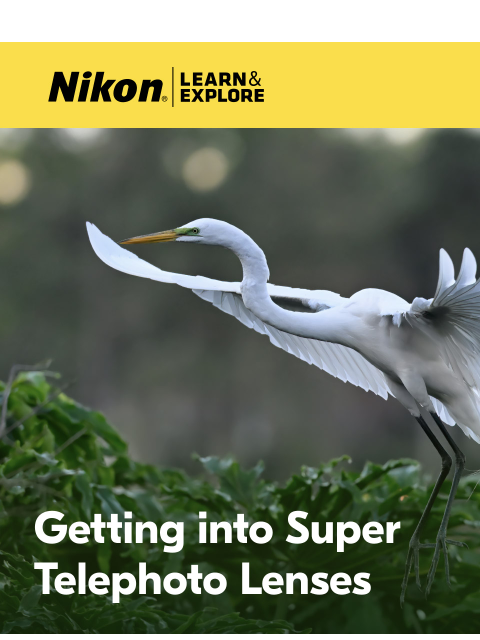 nikon newsletter: LEARN how to get closer to the action