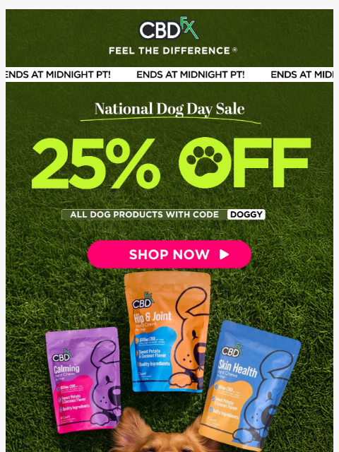 cbdfx newsletter: Don't fur-get: 25% OFF all dog products today only...