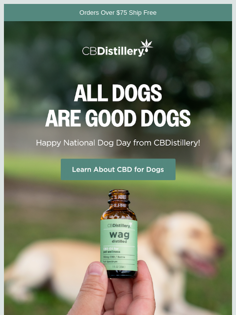 thecbdistillery newsletter: All dogs are good dogs.