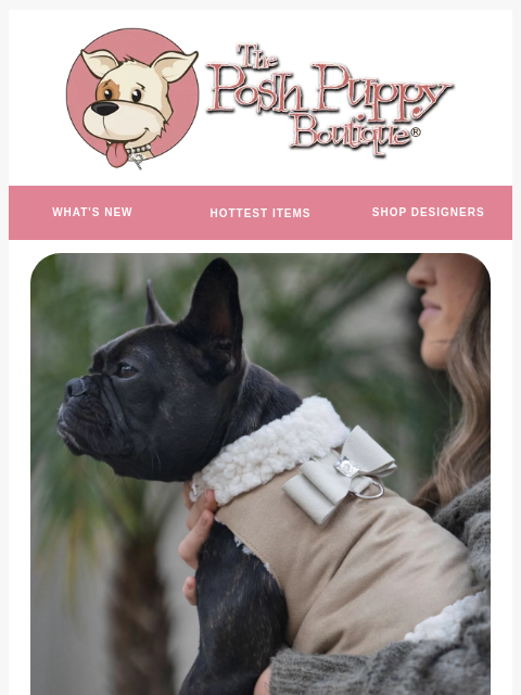 poshpuppyboutique newsletter: Posh Picks: Susan Lanci Coats Are Here