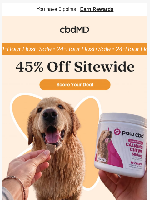 cbdmd newsletter: 24 Hours Of Dog Day Deals 🐶