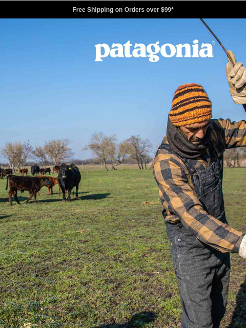 patagonia newsletter: One work shirt to rule them all
