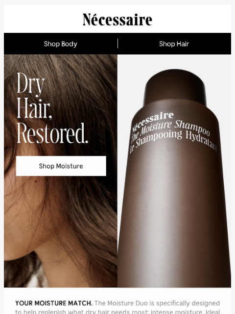 necessaire newsletter: What dry hair needs most