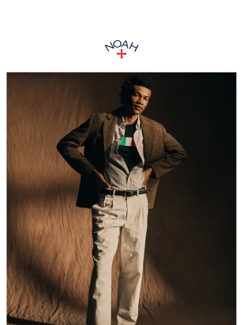 noahny newsletter: The Double-Pleat Herringbone Pant