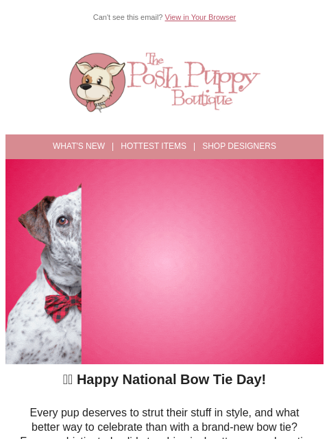 poshpuppyboutique newsletter: Today Only: Celebrate Nat’l Bow Tie Day with Dappe...