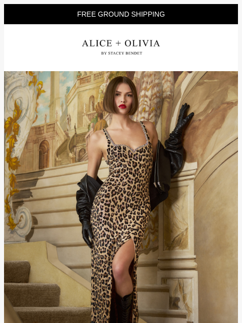 aliceandolivia newsletter: Leopard Forever 🐆🐾✨