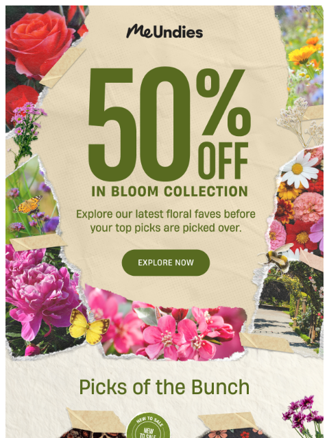 meundies newsletter: Freshly Picked: 50% OFF 🌸🌻