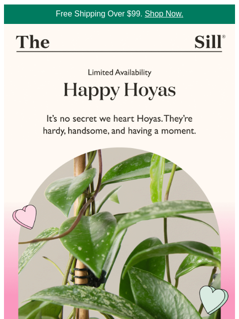 thesill newsletter: The plant with a cult following 💘
