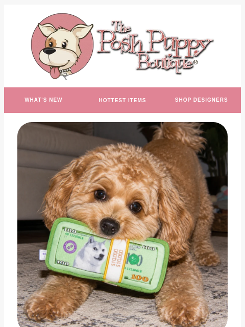 poshpuppyboutique newsletter: You Have Store Credit 🤑
