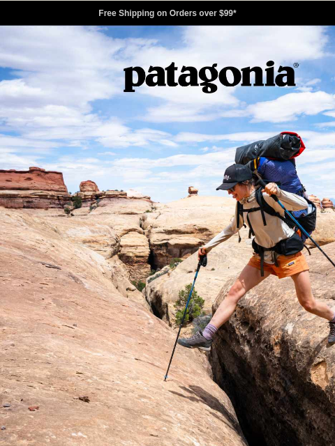 patagonia newsletter: Long sleeves and Baggies shorts