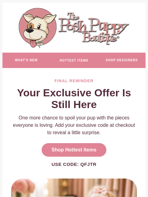 poshpuppyboutique newsletter: Final Reminder: Your Store Credit Is Waiting