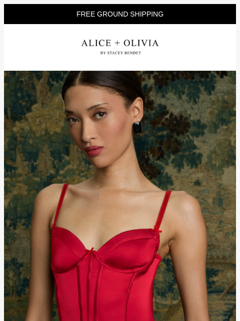 aliceandolivia newsletter: The Corset Edit
