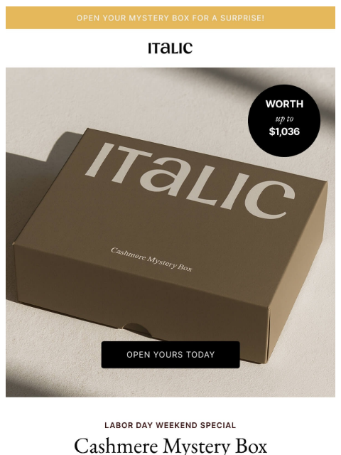 italic newsletter: NEW: Cashmere Mystery Box | Worth up to $1,036