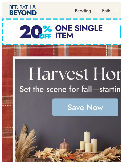 bedbathandbeyond newsletter: Set the scene for fall 🍂