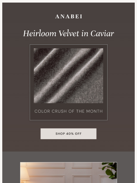 anabei newsletter: Color Crush: Caviar