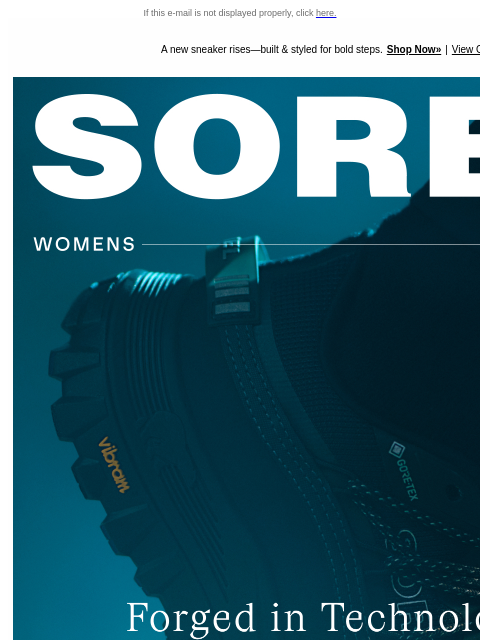 sorel newsletter: Is a New Horizon Calling You?