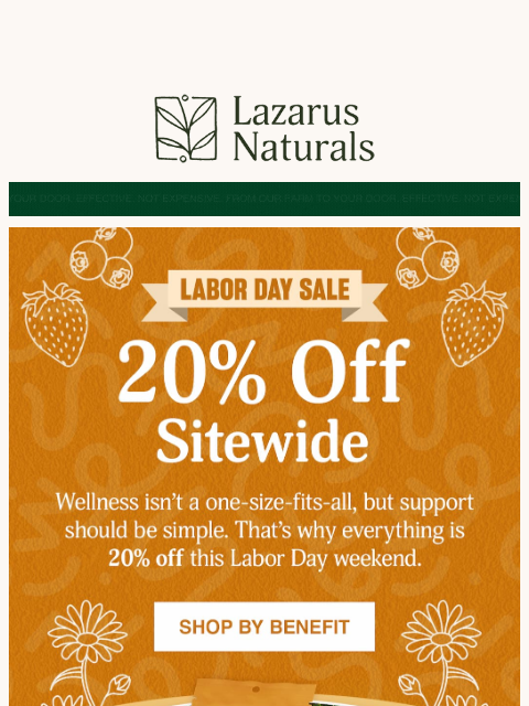 lazarusnaturals newsletter: 20% Off Everything—While It Lasts 👀