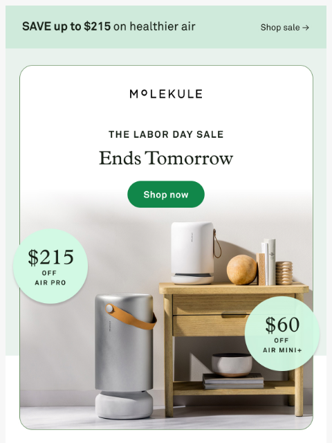 molekule newsletter: Labor Day ends tomorrow, friend ⏰